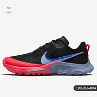CW6066-004