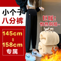 Pregnant woman pants winter plus suede thickened lamb suede pants winter style small sub-autumn winter outwear 80% women 150 sweatpants