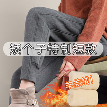 Pregnant woman pants winter gush thickened winter style small sub-autumn winter outwear 80% lamb suede 150 casual wear pants