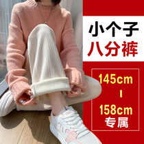 Pregnant woman pants small sub autumn winter outside wearing winter wide leg pants plus suede thickened 80% chenille female spring and autumn pants