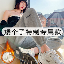 Pregnant woman pants winter plus suede thickened pregnant woman pants winter style small subsports pants autumn winter outwear women 80% sweatpants