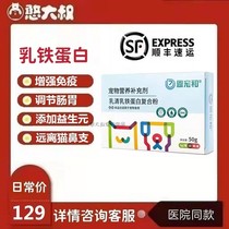 Grace and whey lactoferrin compound powder pet nutrition supplements kittens nose underdogs immunity