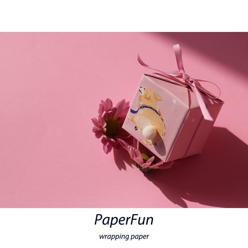 PaperFun snow in kirkkika tunic book paper book leather pink little fresh gift cute wrapping paper children