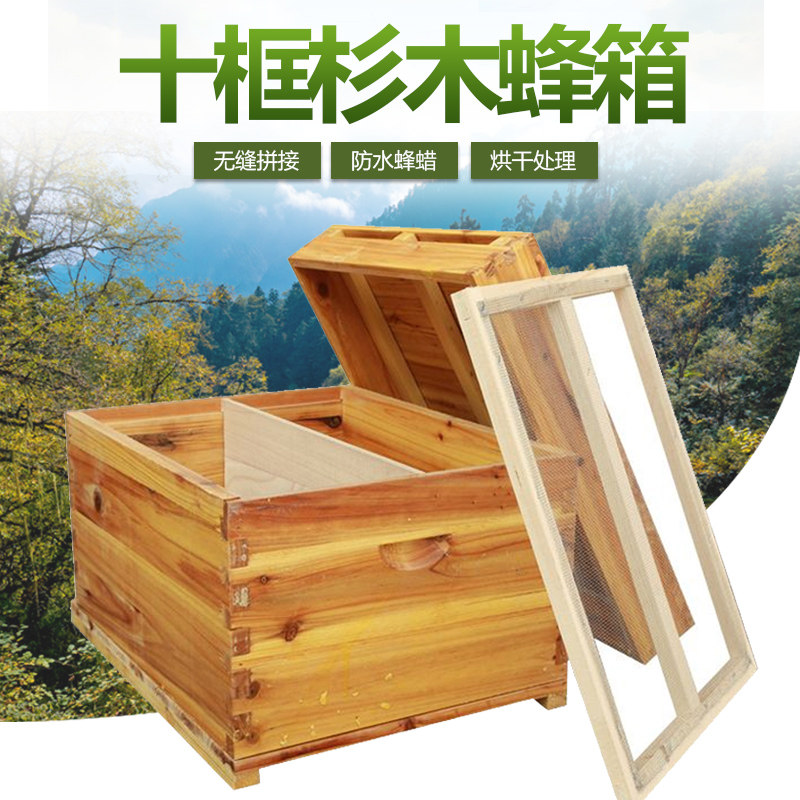 Honeybee Beehive full range of beekeeping tools Private Standard cedar wood Bee Cooking Wax Beekeeping Beehive Beehive Bee Hive