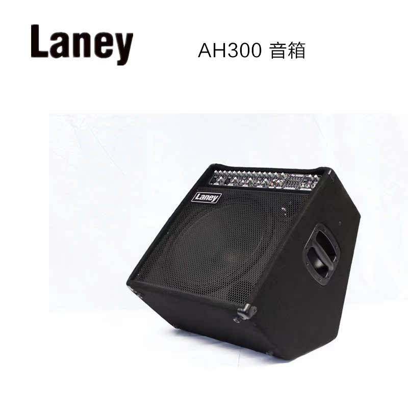Laney Lani AH300 Audiohub Series Multi-functional instrument speaker Guitar Speaker