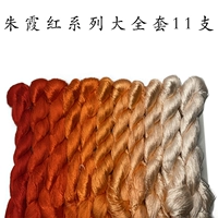 № 52 Чжу Сяхонг Полный набор из 11 цветовых ветвей