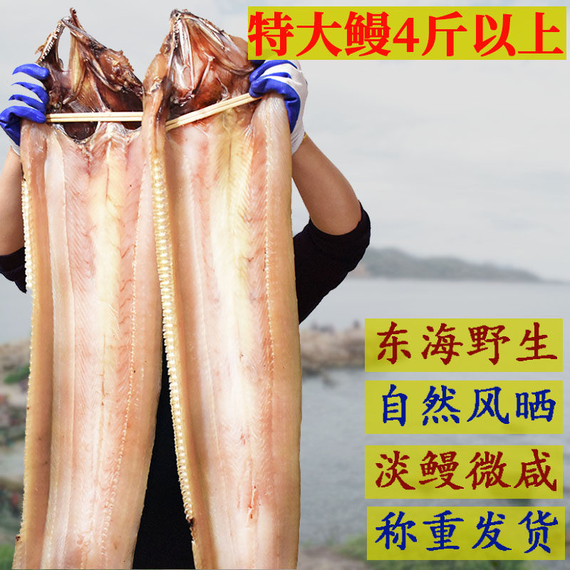 New special sea eel dried Ningbo Zhoushan light salt eel scorpion eel dried semi-dry frozen seafood dry goods 2000g