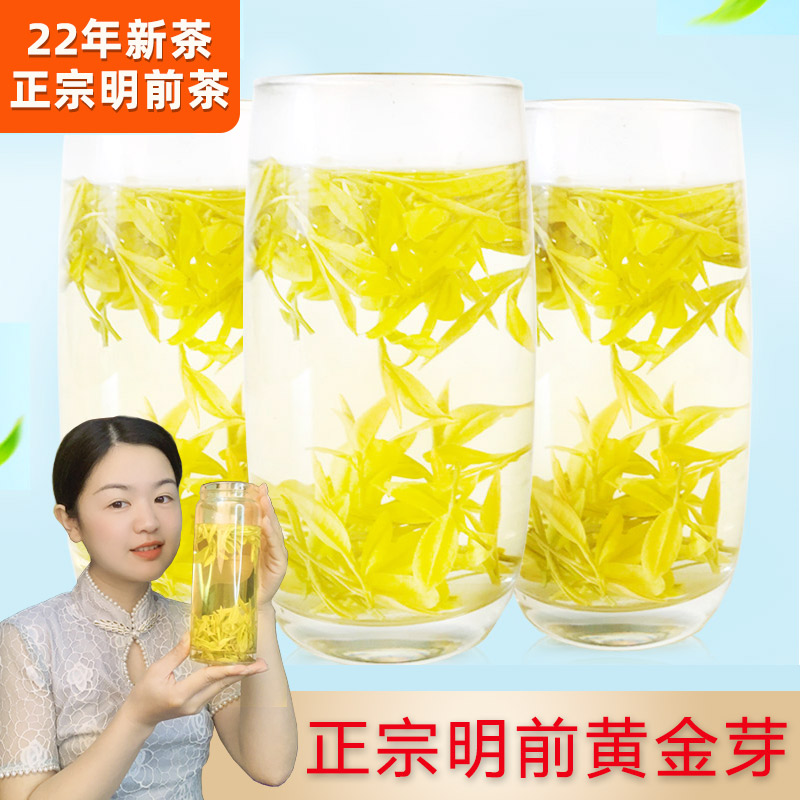 Golden sprouts tea 2022 New tea Anji gold tea Ming prettier gold white tea leaves 250g canned