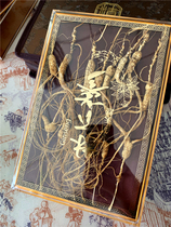 Ginseng Changbai Mountain raw sun ginseng Next 20 years of raw forest with 15 pure and free postal ginseng