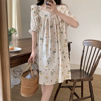 5006-2 растения цветы