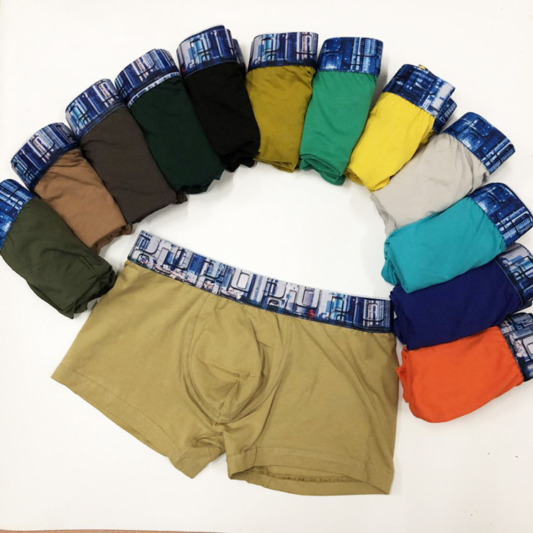 4 pairs of foreign trade original single cotton elastic bump youth boxer briefs