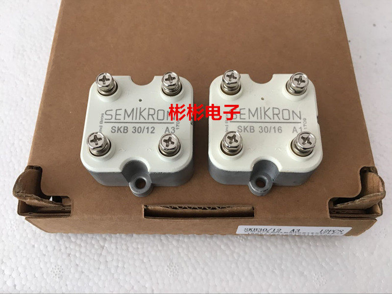 SKB30 12A1 SKB30 16A1 New SEMIKRON single phase rectifier bridge module in stock