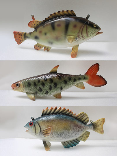 Promotional Outdoor Fiberglass Ocean Series Simulated Fish Model Decoration Wall-Mounted Shark Head Ornaments Resin Crafts