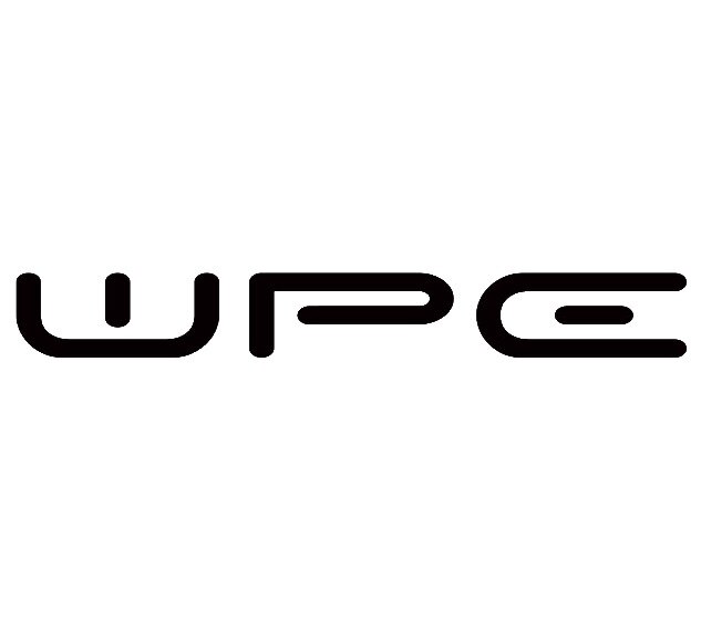 威派尔(WPE)制动科技的LOGO