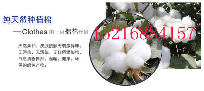 Tenue de travail en coton - Ref 1912814 Image 7