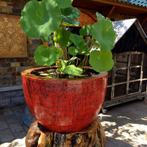Jingdezhen ceramic fish tank lotus water lily bowl lotus bowl red porcelain large extra large outdoor courtyard Company large
