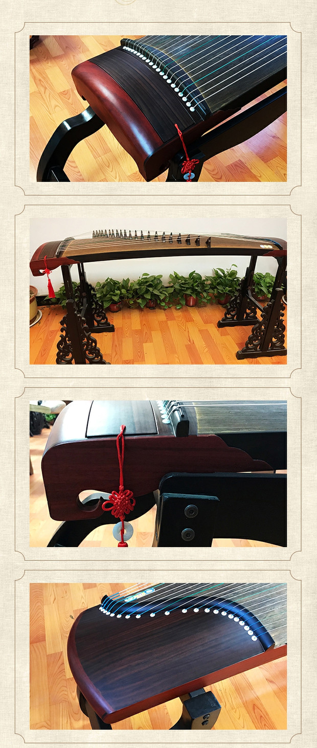 Qin Seyu Guzheng Rosewood Face Professional Guzheng Người mới bắt đầu Kiểm tra Nhạc cụ truyền thống dành cho người lớn - Nhạc cụ dân tộc mua đàn tỳ bà