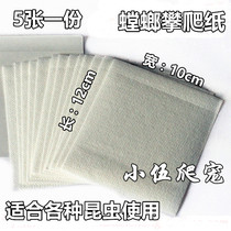 Trendy insect Mantis climbing paper feeding box Mantis climbing paper 10*12cm Mantis feeding