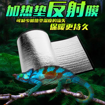 Reptile climbing pet feeding box Tortoise Lizard Spider Hedgehog Parrot Chick bird Insulation pad Heating pad Reflective film