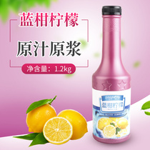 Nature One Blue citrus Lemon Concentrated Juice to Drink Commercial Blue Citrus Blue Mandarin Flavoured Syrup Milk Tea Shop Matières premières