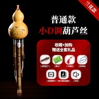 Orchid Putong Tong Little D Tune