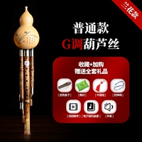 Орхидея путто Глип