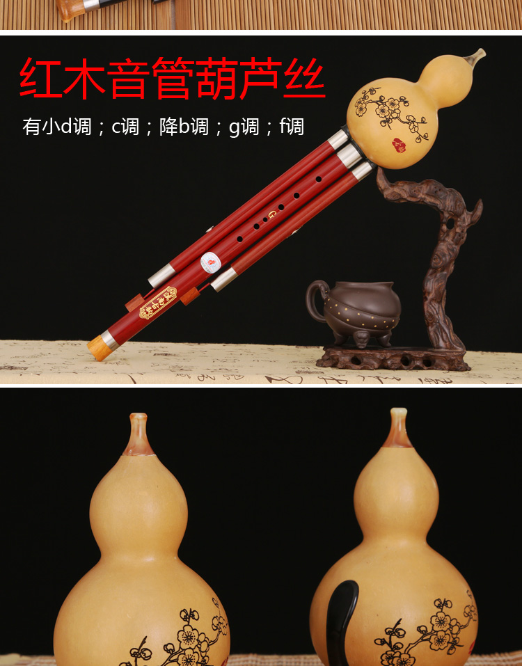 Vân Nam cucurbit lụa thả b giai điệu c giai điệu g điều chỉnh f điều chỉnh nhỏ d giai điệu nữ sinh tiểu học tự học giới thiệu dụng cụ - Nhạc cụ dân tộc saotrucmaomeo