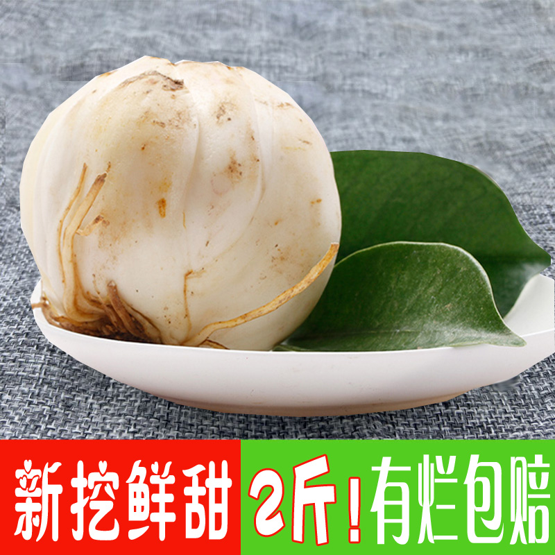 Gansu Lanzhou lily Fresh lily Edible pure Lanzhou specialty Day fresh sweet vacuum natural non-special grade lily