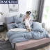 Poly gia đình 1.8m bốn bông ins giường bông giường váy ký túc xá quilt mạng đơn đỏ giường ba mảnh tờ người - Bộ đồ giường bốn mảnh