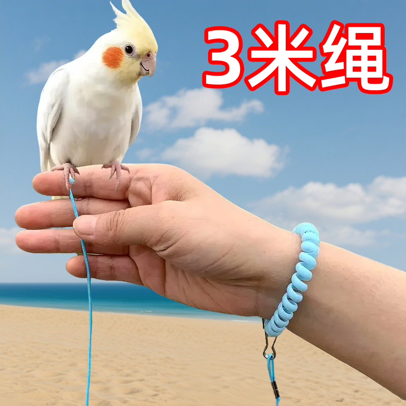 Parrot Leash for Outdoor Bird Walking, Ultra-Light Tether for Budgerigars, Cockatiels, Lovebirds, and Small Sunbirds