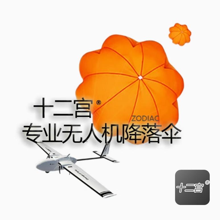 Parachute: Drone Fixed Wing Halo Pro Struggler Gemini and Other Twelve Palace Factory Stores