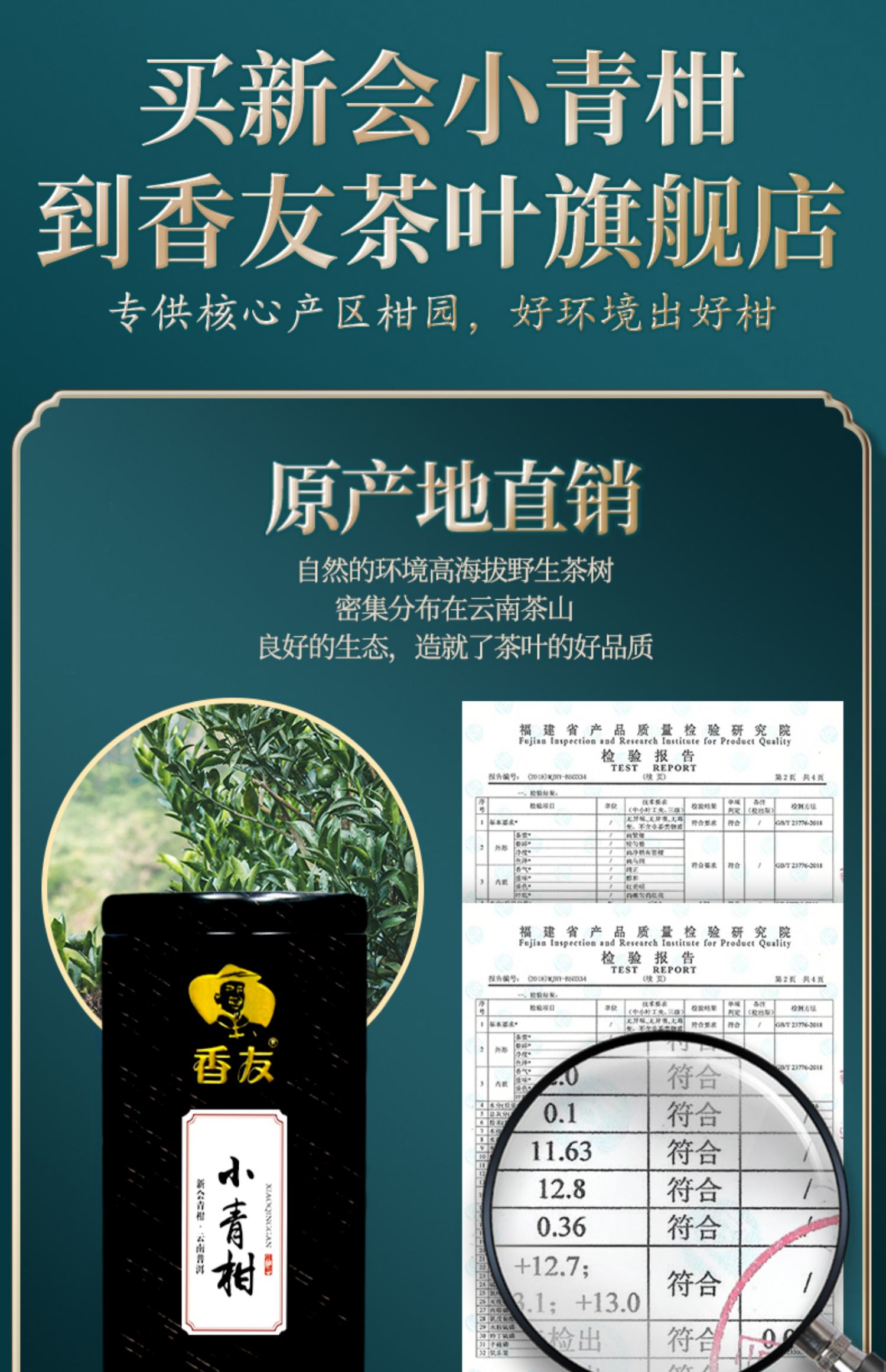 【稳定签到】铁罐！正宗小青柑普洱茶