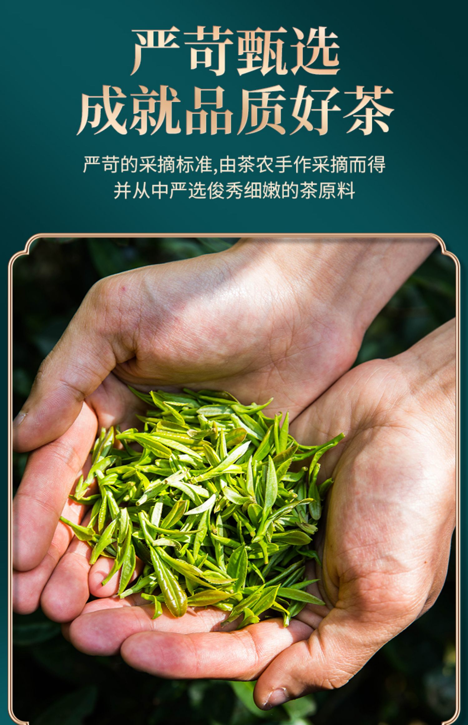 【香友】特级金骏眉红茶125g*铁罐