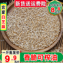 Farmers own white sesame 500g oil sesame seeds with skin New Sesame clean and disposable oil