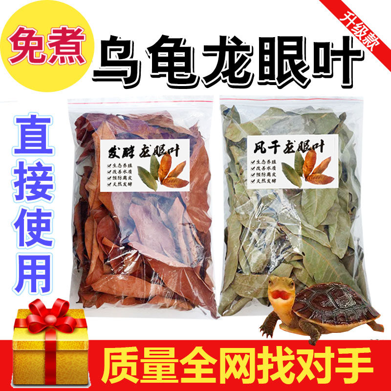 Longan leaves to raise turtles Aquarium master red cook-free pre-corrosion skin improves water quality turtle tank avoids longan leaves