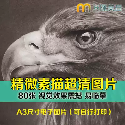 Fine sketch ultra-high-definition picture copy Atlas animal figures plant electronic material studio hand painting realism