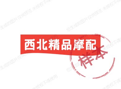 西北精品摩配