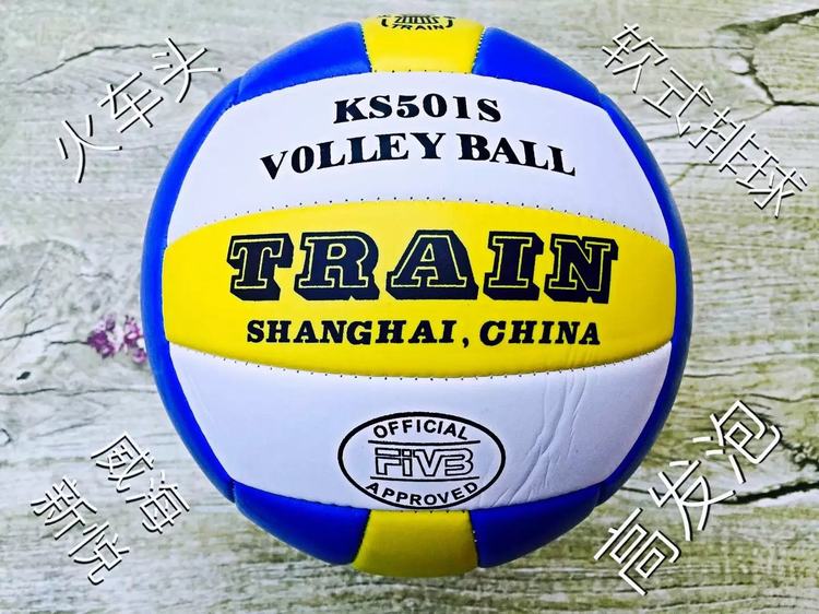 Ballon de volley - Ref 2012342 Image 6