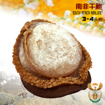 Standard 3 large beautiful South African dried abalone dry skirt is well preserved very dry beautiful color 500 grams