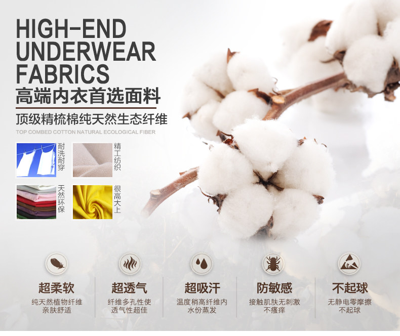 Pantalon collant Moyen-âge H63001 en coton - Ref 749846 Image 28