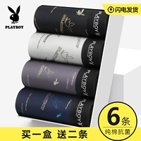 Playboy, хлопковые летние тонкие трусы, дышащие штаны, коллекция 2021 года