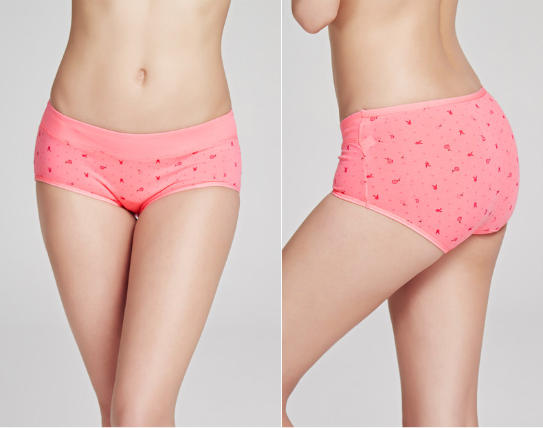 Slip jeunesse PLAYBOY zY5677-4 en coton - Ref 668600 Image 19