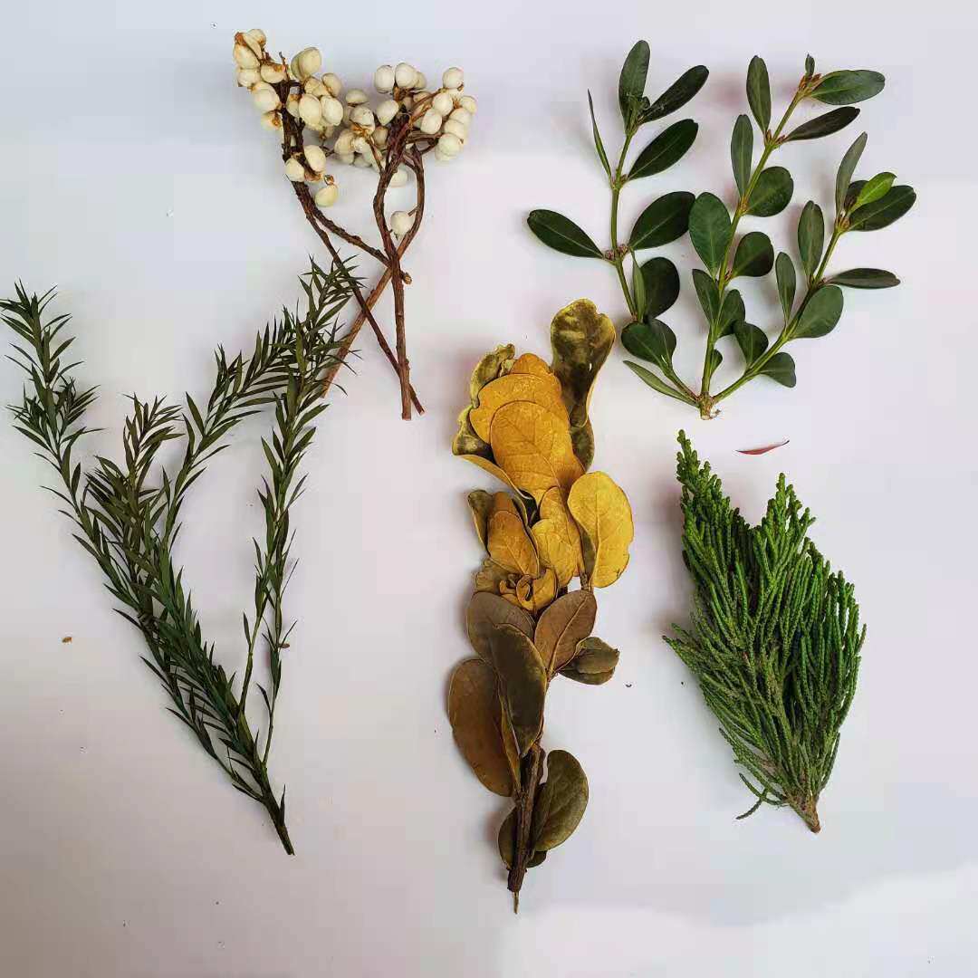Christmas green leaf flower material immortal flower small ginkgo pine and cypress leaves boxwood branches and leaves set diy hand-made dried flower decoration