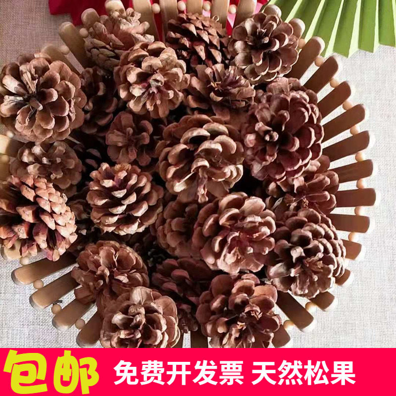 (50 pine cones) natural pine cone decoration kindergarten handmade diy making Christmas materials dry flower arrangement