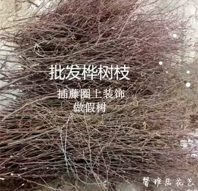 Kindergarten handmade natural decorative fruit fine branches Development Intelligence DIY flower arrangement birch branches wooden sticks dry branches