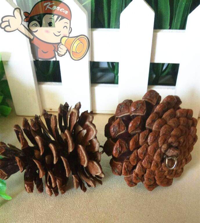 Natural Senteal Fruits Dry Floral Ornament Hand Hung Accessories Woolen Jersey Loose Fruit Oak Ice Glacier Century Love Nuts