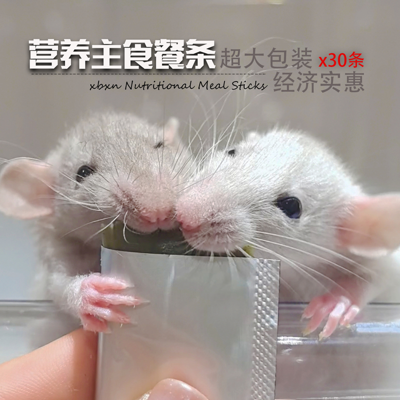 Hamster Food, Golden Hamster Staple Food, Nutritious Paste, Shiny Fur, Healthy Intestines, Nutritious Hamster Sticks, Large Package 