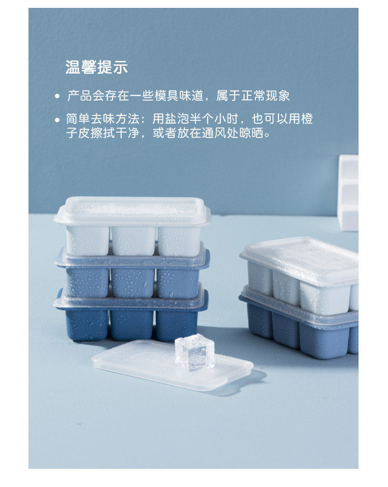 790-Mini Ice Grid_17.jpg