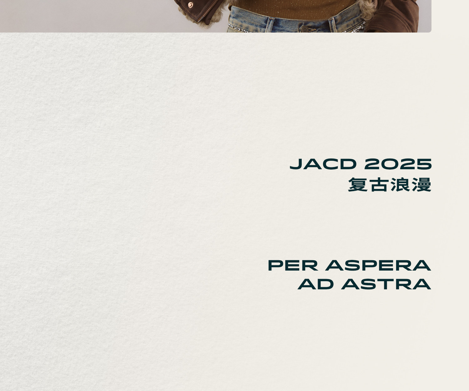 JACD Brown Plush Leopard Tote Bag