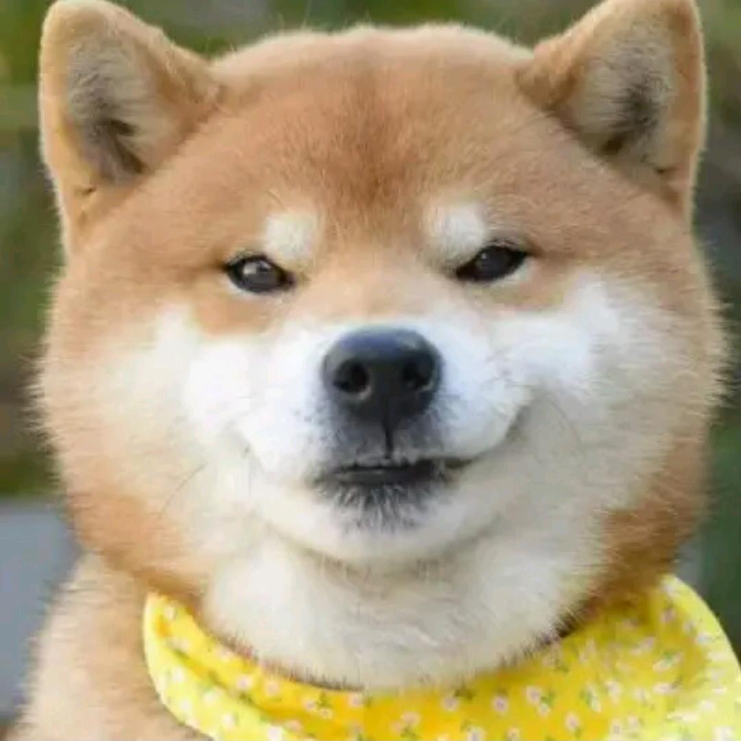 车载外设铺